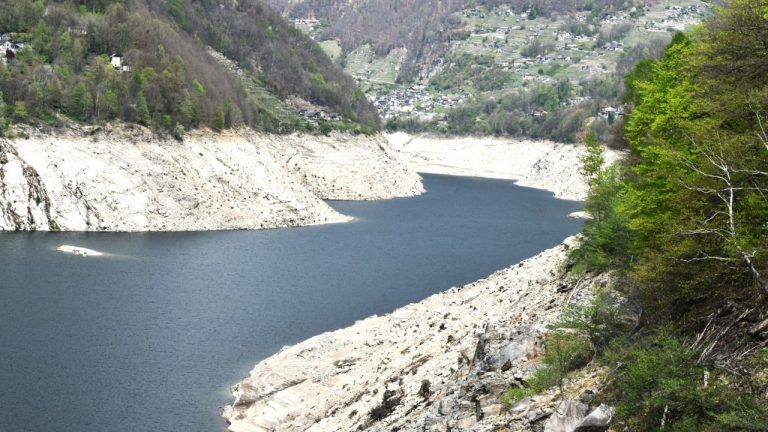 danielelarosa/Unsplash