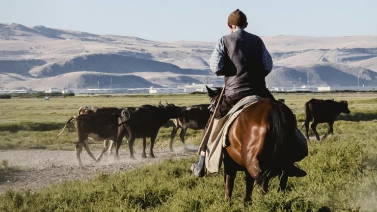 Mehmet Turgut Kirkgoz/Pexels