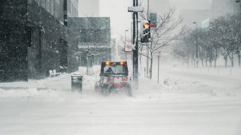 onthesearchforpineapples/Unsplash