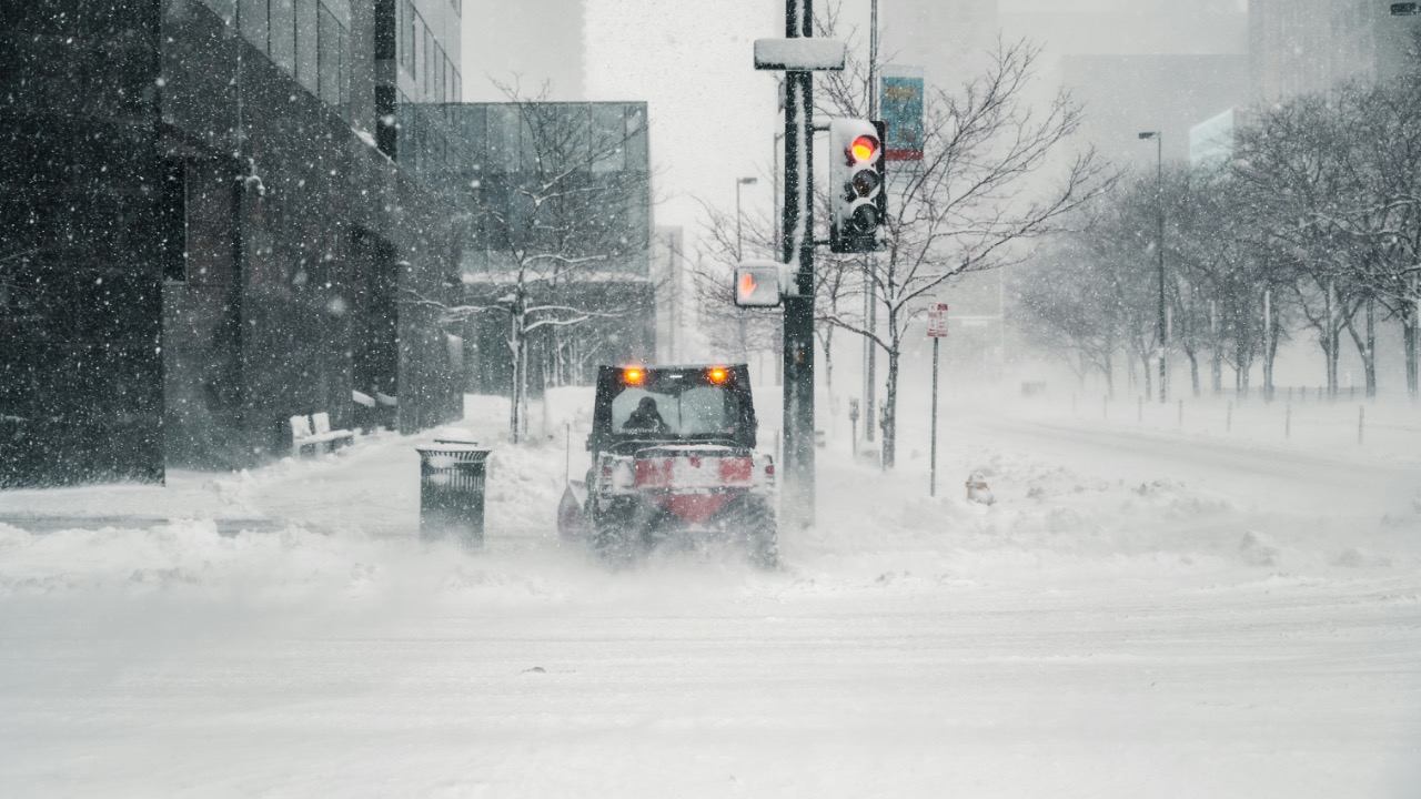 onthesearchforpineapples/Unsplash