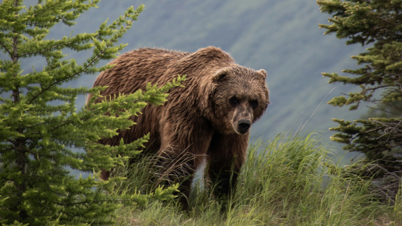 capturelight/Unsplash