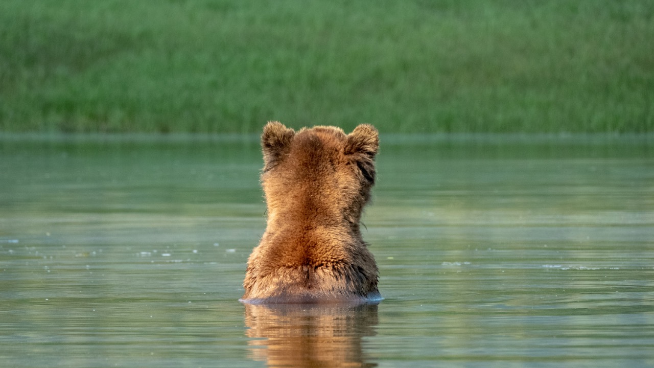 leilaboujnane/Unsplash