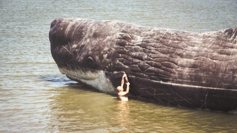 snappyshutters/Unsplash