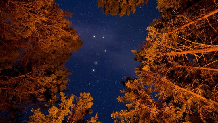 James Wheeler/Pexels