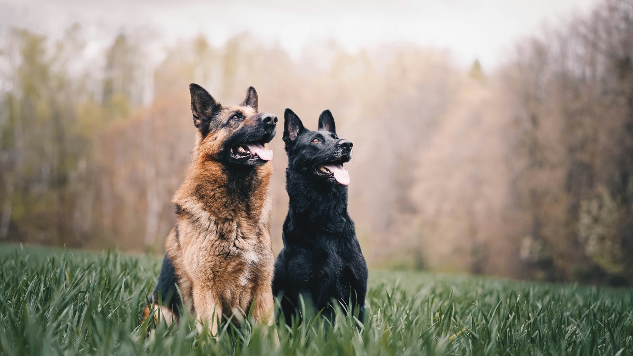 annadudkova/Unsplash