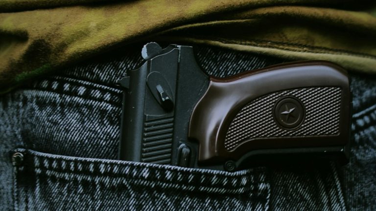 Darya Grey_Owl/Pexels