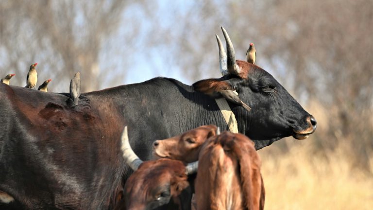 nicolewreyford/Unsplash