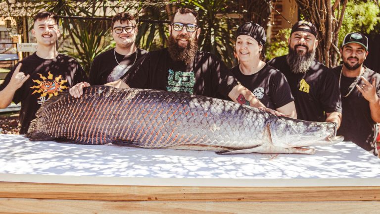 Vidal Balielo Jr./Pexels