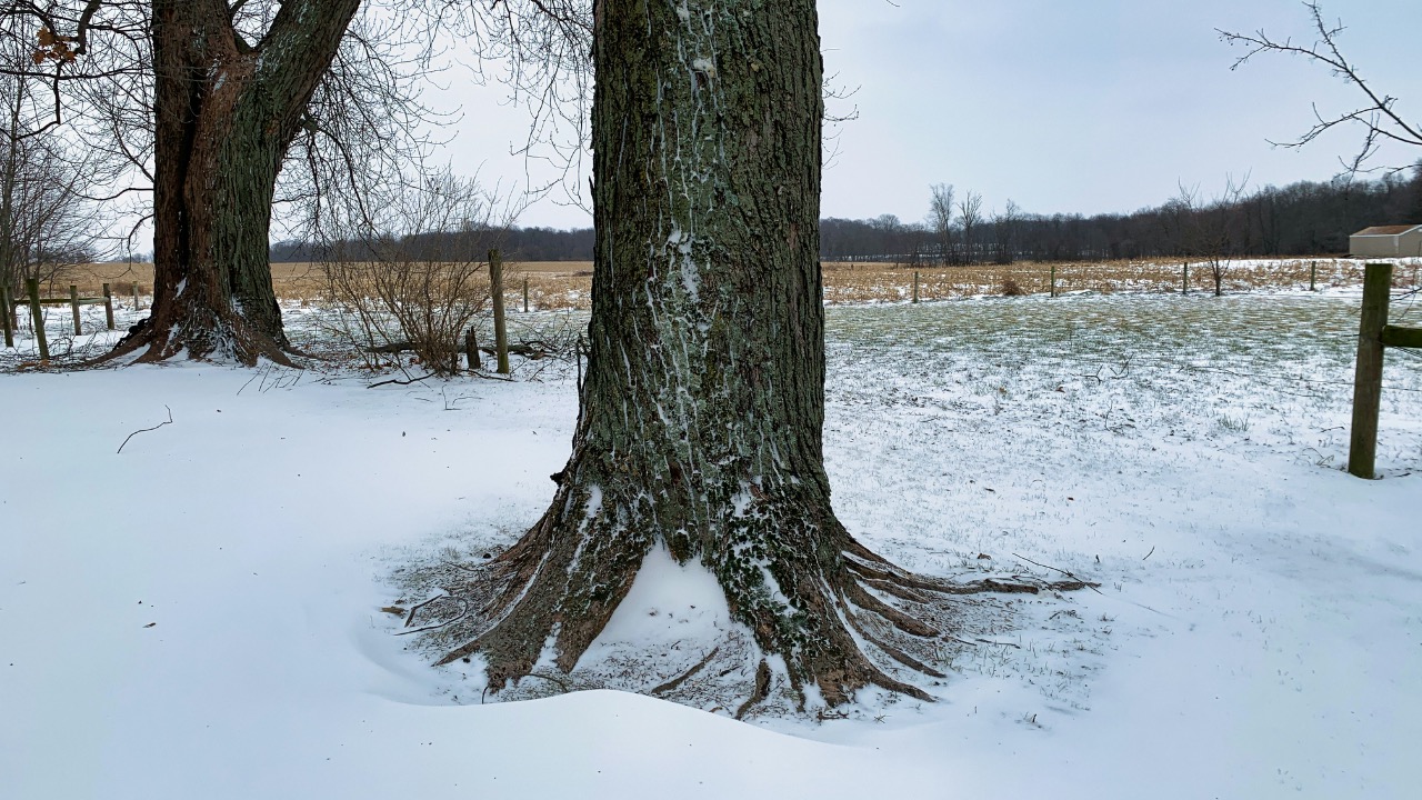 saundelr/Unsplash