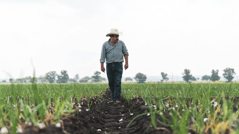 Los Muertos Crew/Pexels