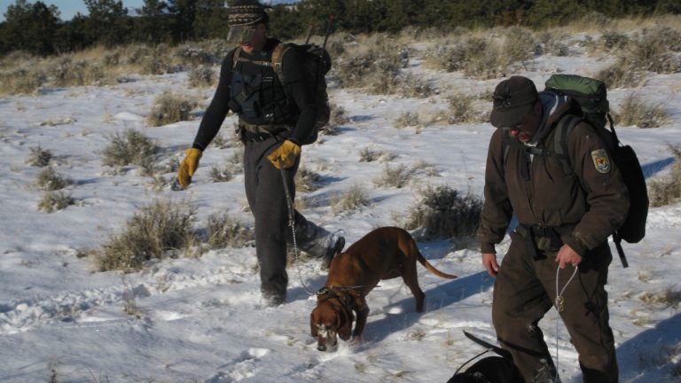 Image Credit: USFWS Mountain-Prairie - Public domain/Wiki Commons