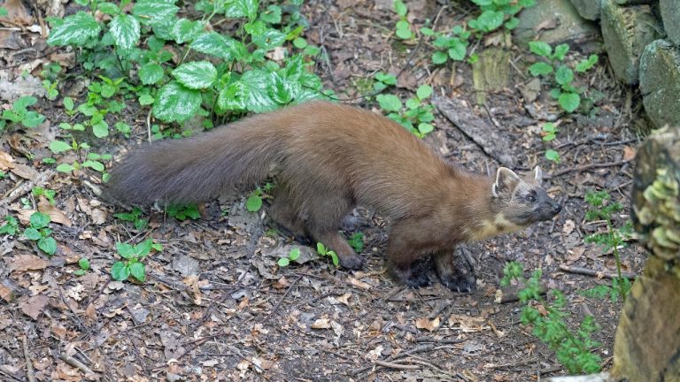 Georg Wietschorke/Pexels