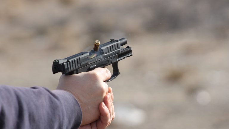 Image Credit: Noah Wulf - CC BY-SA 4.0/Wiki Commons