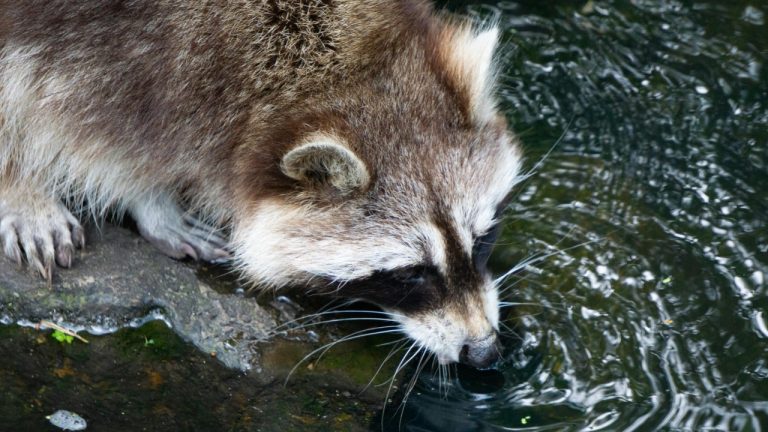 Jornt Hornstra/Pexels