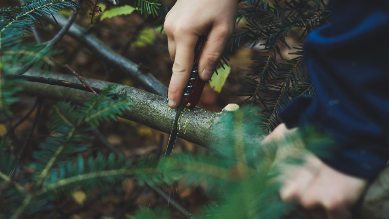 markusspiske/Unsplash