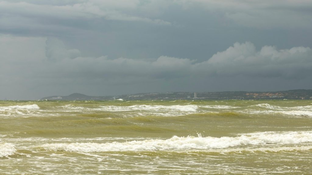 Serg Alesenko/Pexels