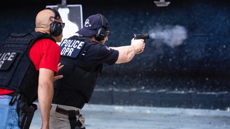 Image Credit: usicegov - Public domain/Wiki Commons