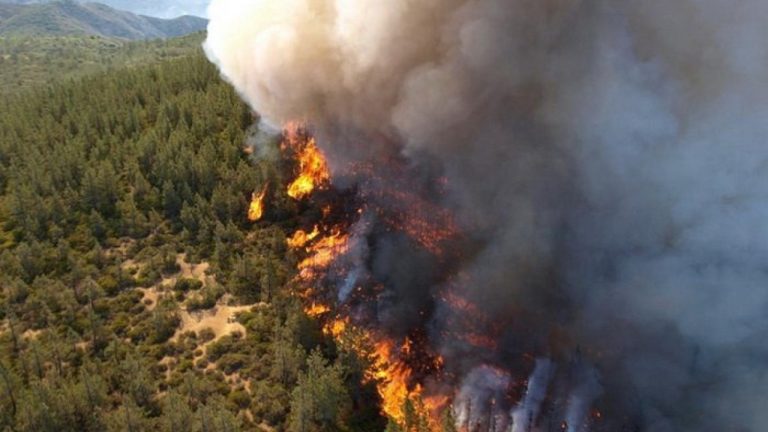 Image Credit: Salam2009 - CC BY-SA 4.0/Wiki Commons