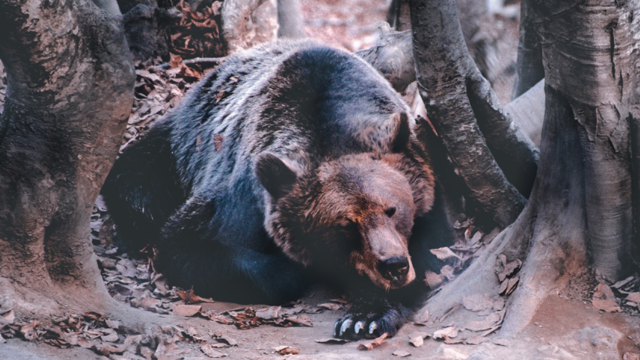 yorgosntrahas/Unsplash