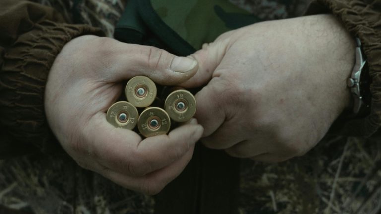 Tima Miroshnichenko/Pexels