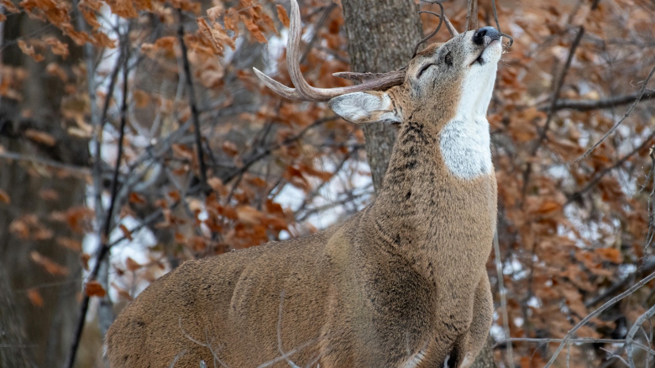 Andrew Patrick Photo/Pexels