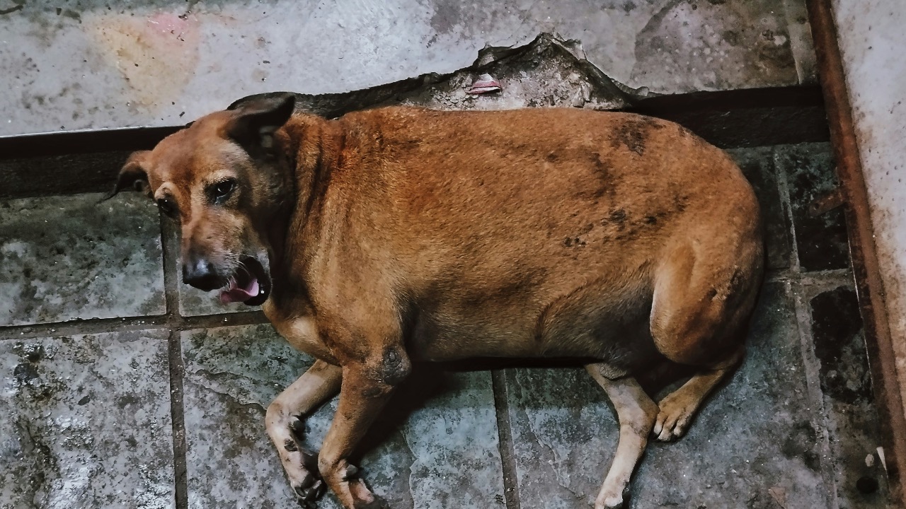 _its_chinmay_cr7/Unsplash