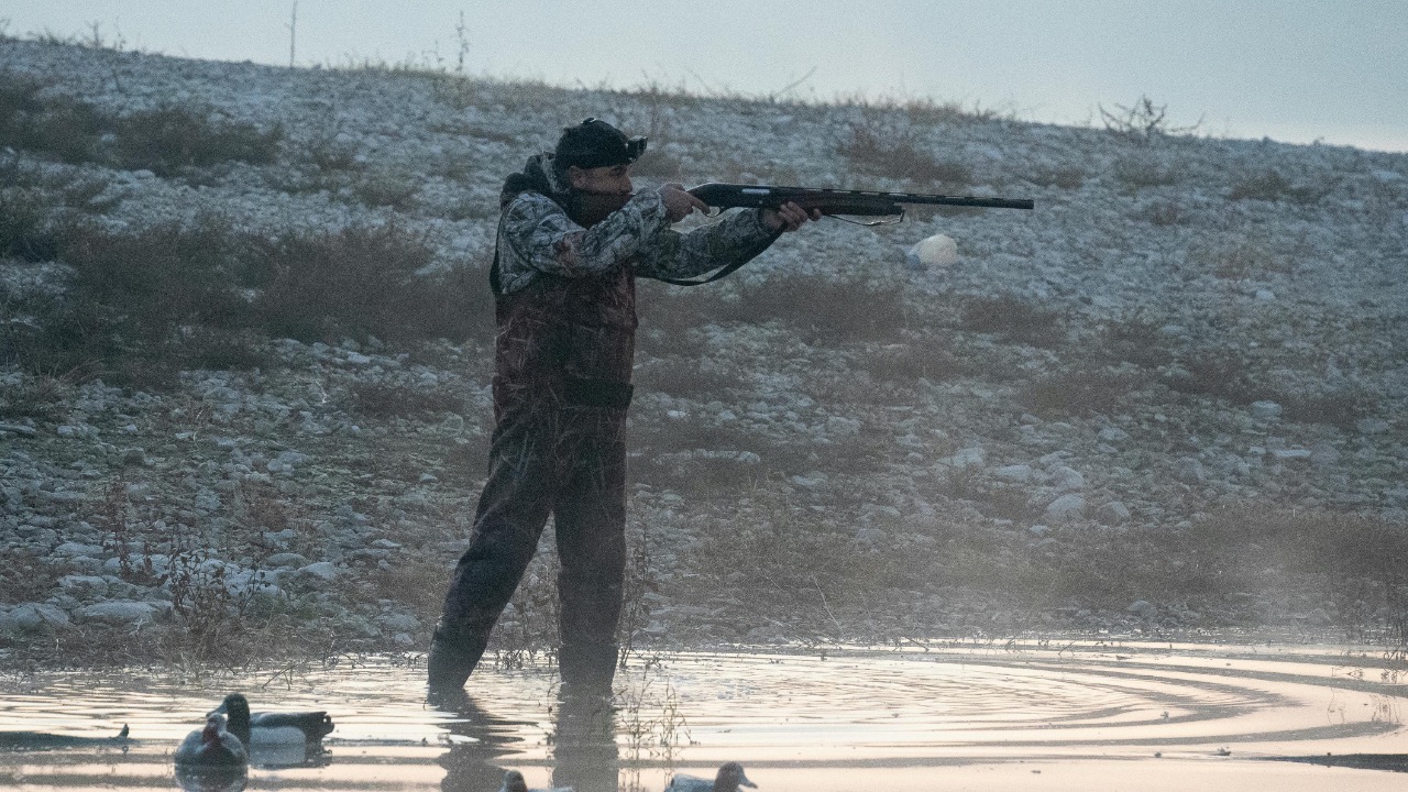 izzet çakallı/Pexels