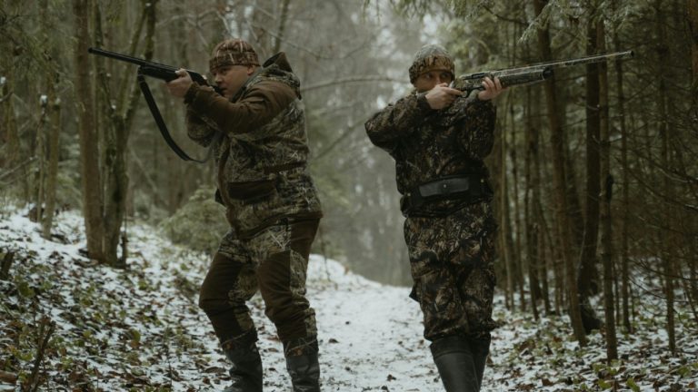 Tima Miroshnichenko/Pexels