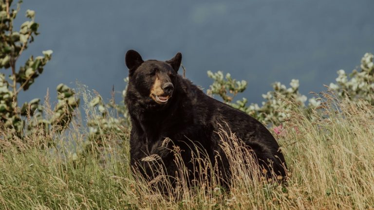 danika_anya/Unsplash