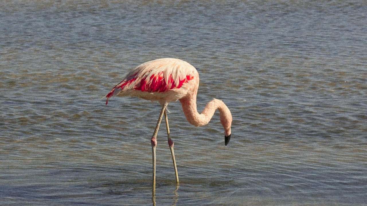 Amanda María/Pexels