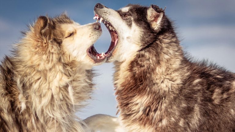 Павел Гавриков/Pexels