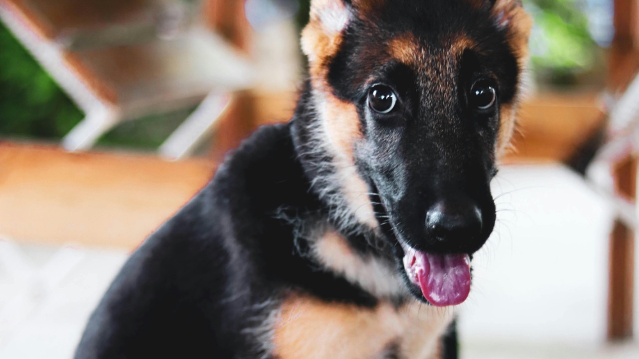 Carl Adrian Barcelo/Pexels