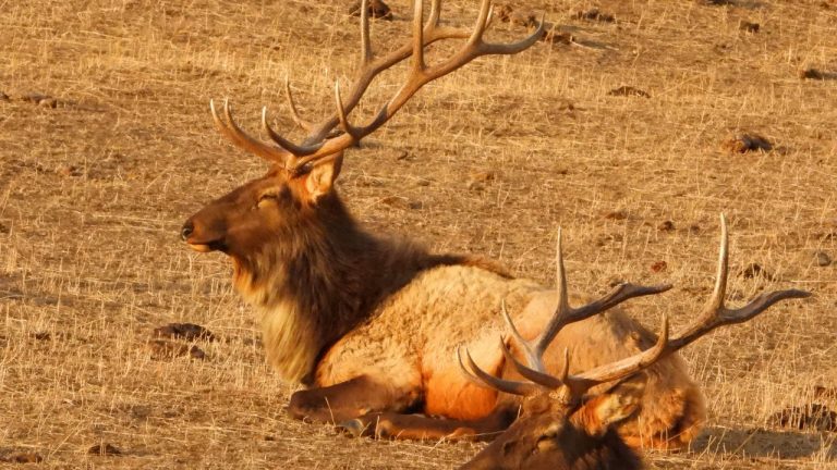 evergreene24/Unsplash