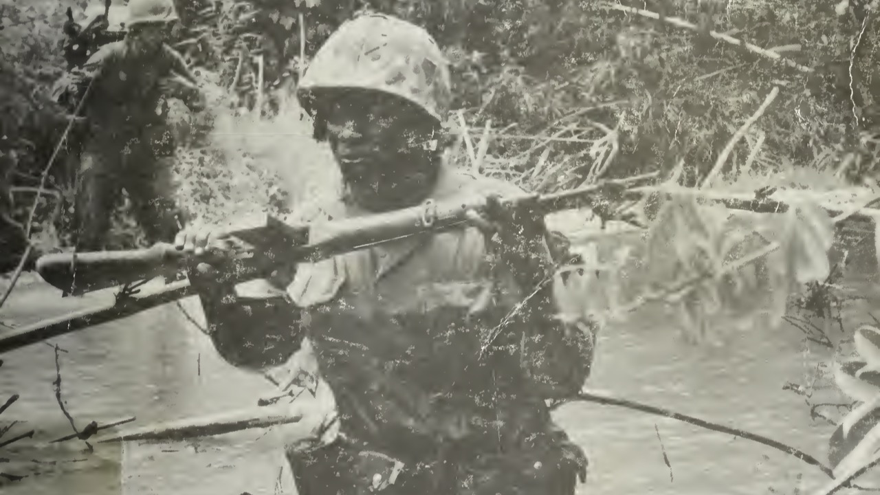 Image Credit: Shulimson, Jack United States. Marine Corps. History and Museums Division - Public domain/Wiki Commons