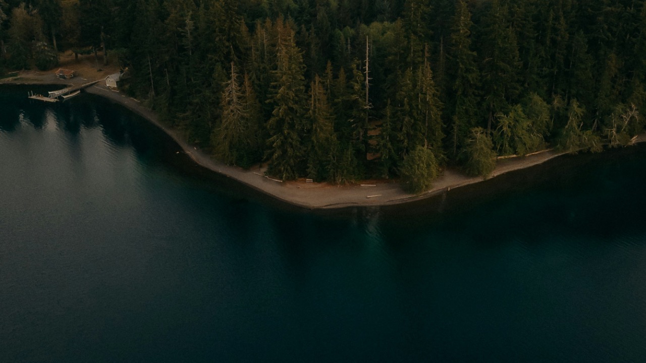 dariatapesh/Unsplash