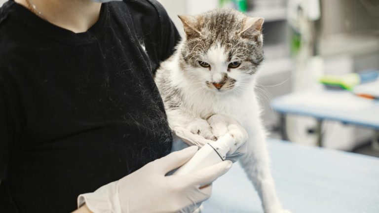 Gustavo Fring/Pexels