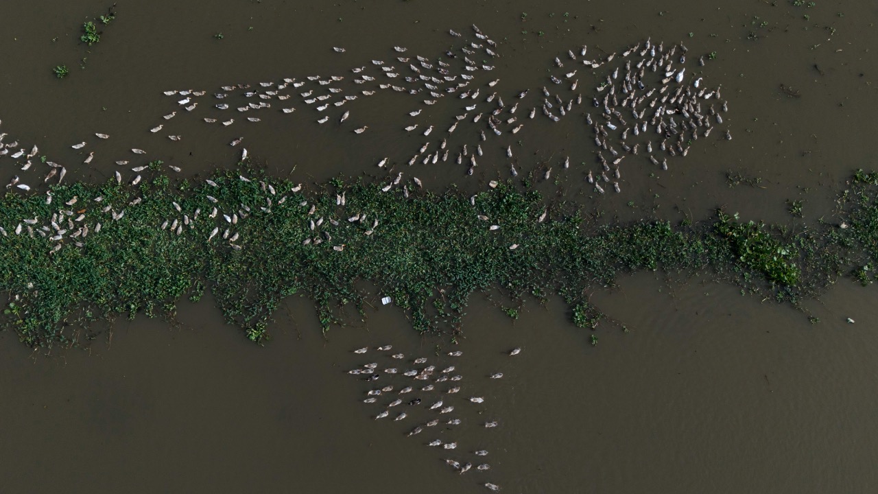 Vietnam  Hidden Light/Pexels
