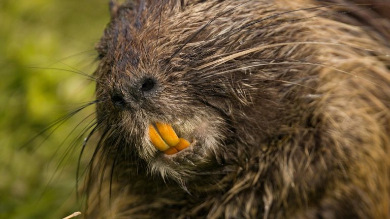 Denitsa Kireva/Pexels