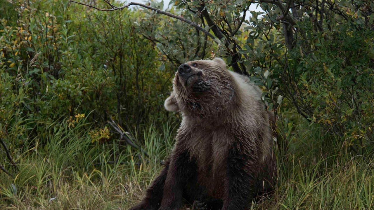 Marcel Biegger/Pexels