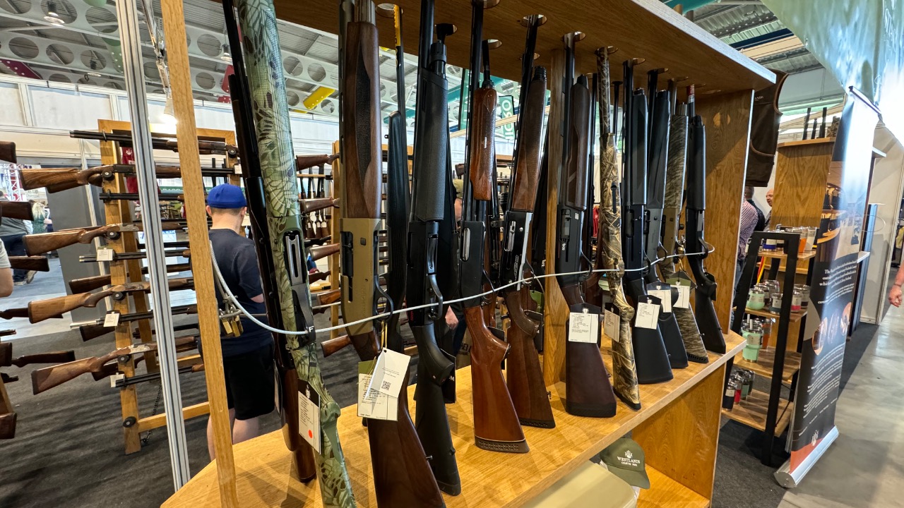 Image Credit: Elshad - CC0/Wiki Commons