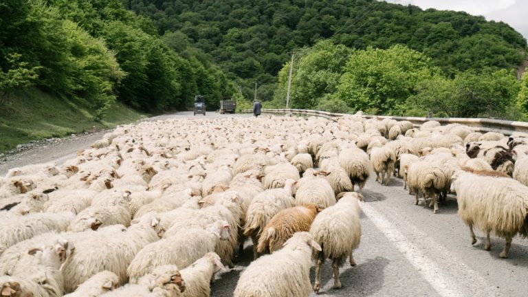 ArtHouse Studio/Pexels