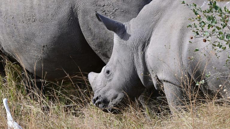 xauro_world/Unsplash