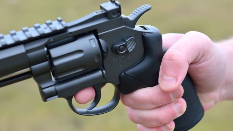 Axente Vlad/Shutterstock.com