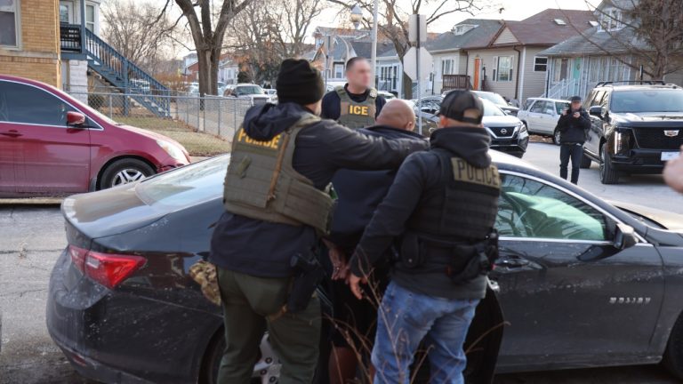 Image Credit: usicegov - Public domain/Wiki Commons