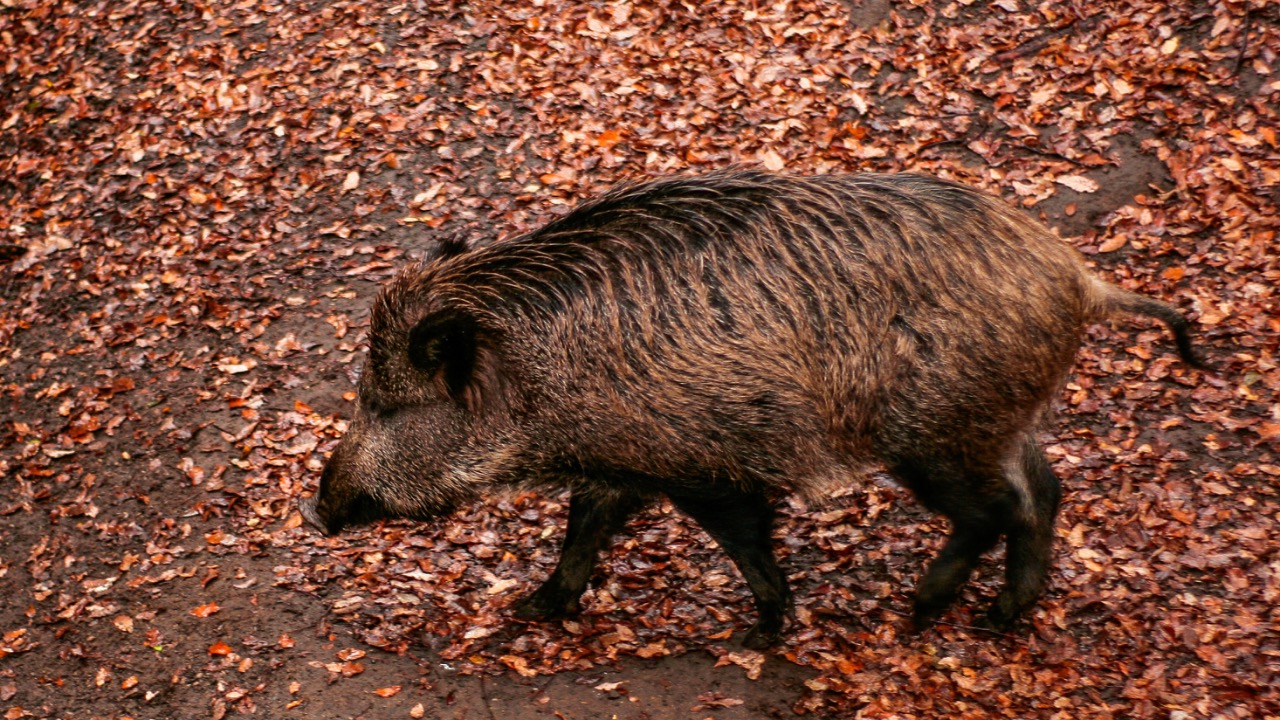 ricardoalfarog/Unsplash