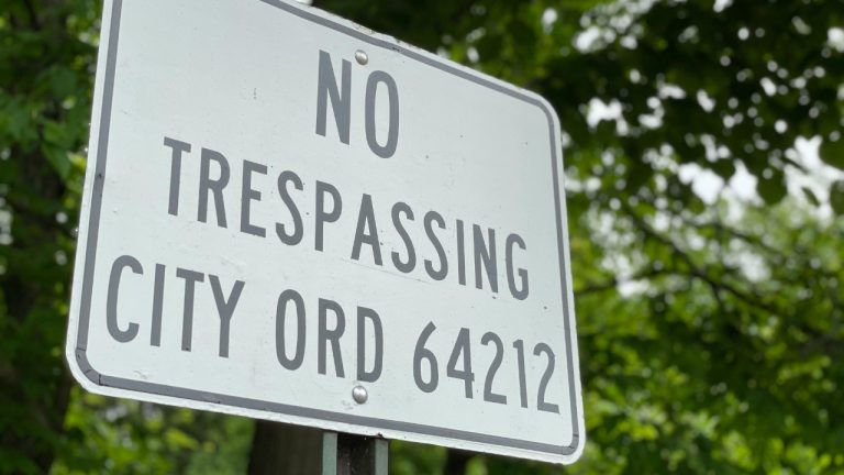 Steve DiMatteo/Pexels