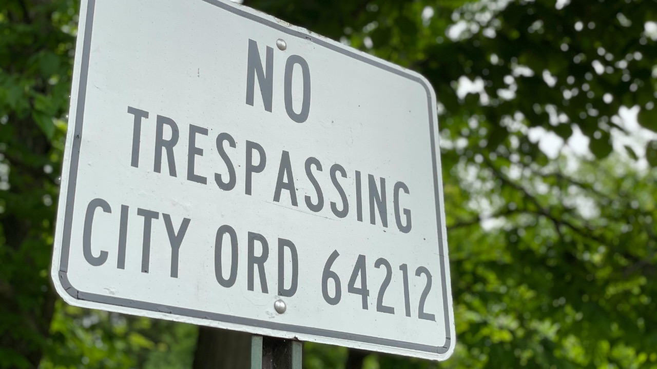 Steve DiMatteo/Pexels