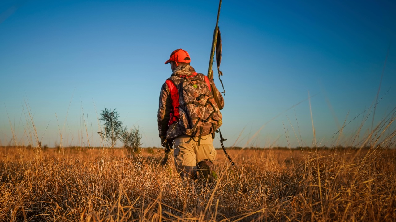 Arian Fernandez/Pexels