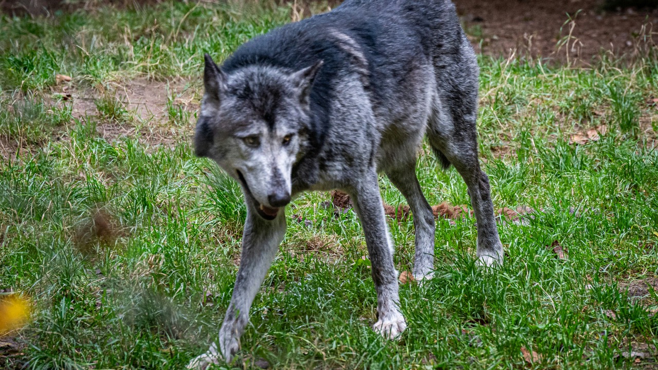 justmejuliee/Unsplash