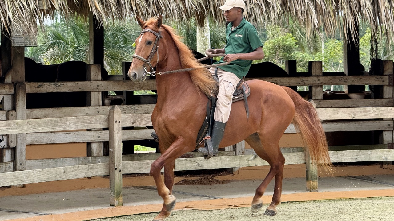 Image Credit: Oleg Yunakov - CC BY-SA 4.0/Wiki Commons